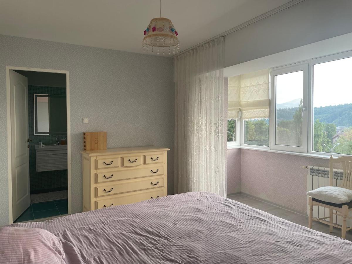 Happy Time 1 Apartment Petrosani Ngoại thất bức ảnh